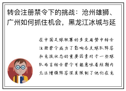 转会注册禁令下的挑战：沧州雄狮、广州如何抓住机会，黑龙江冰城与延边龙鼎的反思之路