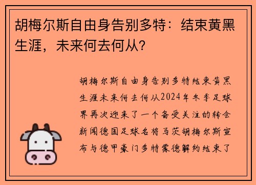 胡梅尔斯自由身告别多特：结束黄黑生涯，未来何去何从？